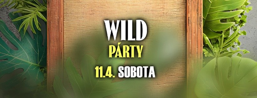WILD PARTY / Afterparty Bitva 2.0