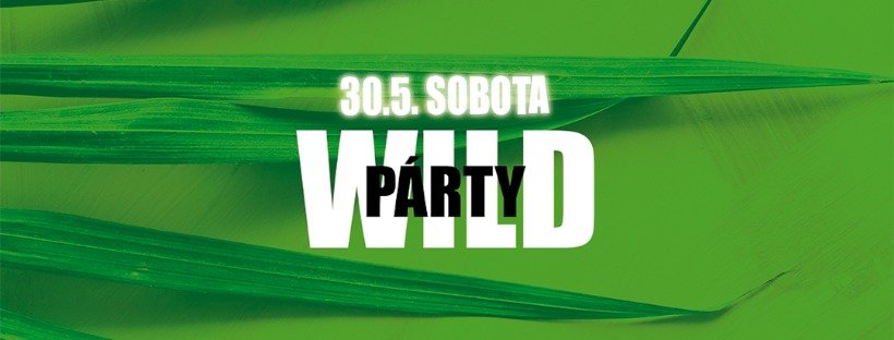 WILD PARTY