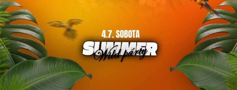 SUMMER WILD PARTY